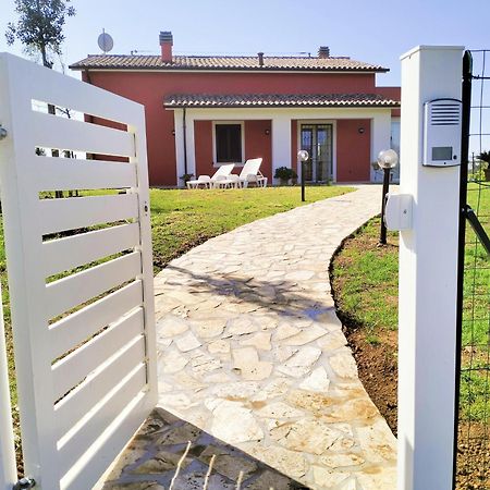 Villetta Fedora Immersa Nel Verde Cecina  Exteriér fotografie