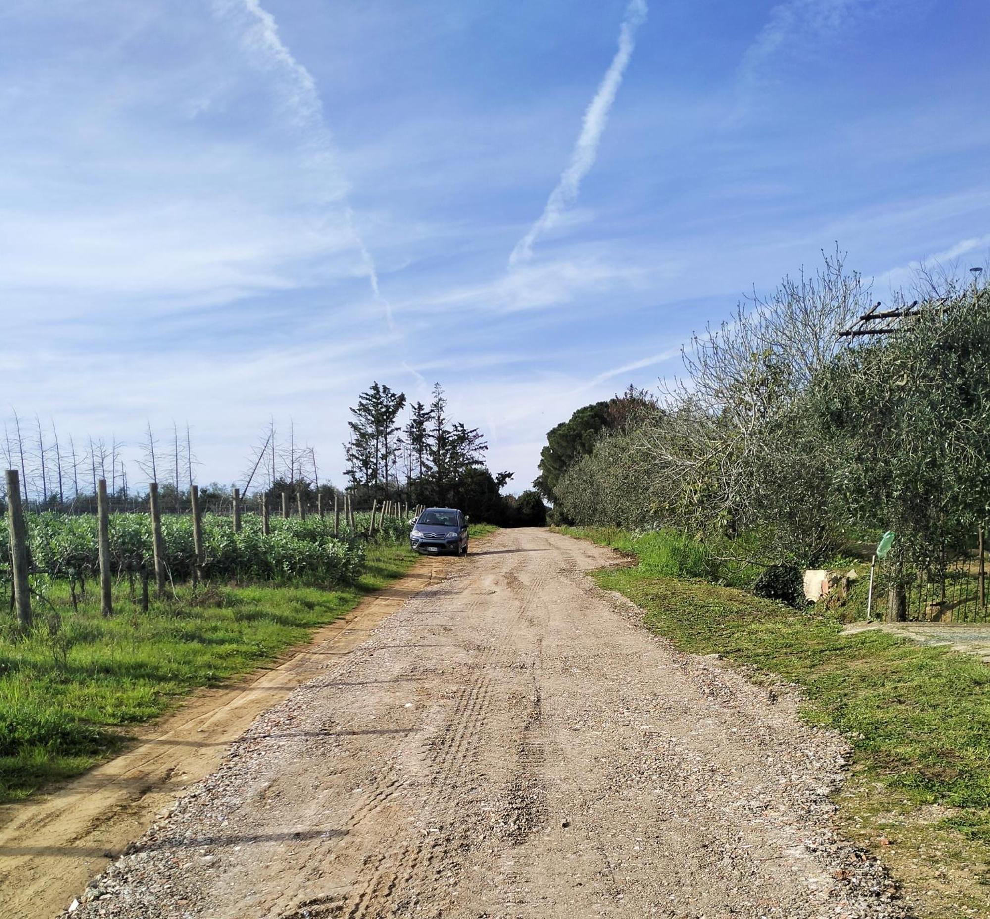 Villetta Fedora Immersa Nel Verde Cecina  Exteriér fotografie