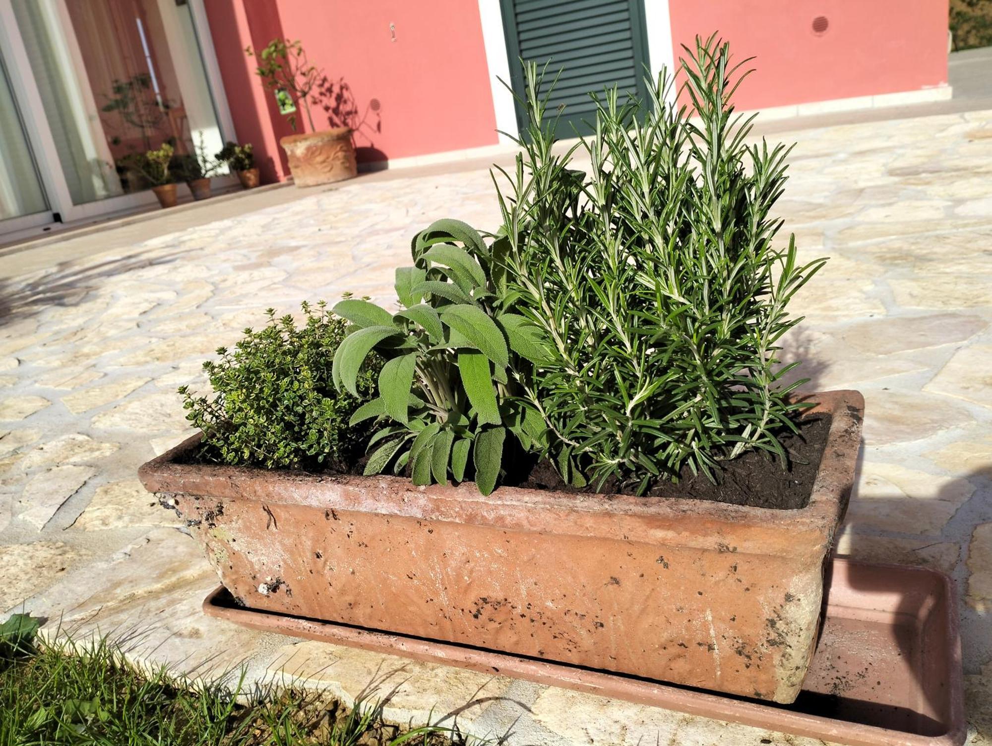 Villetta Fedora Immersa Nel Verde Cecina  Exteriér fotografie