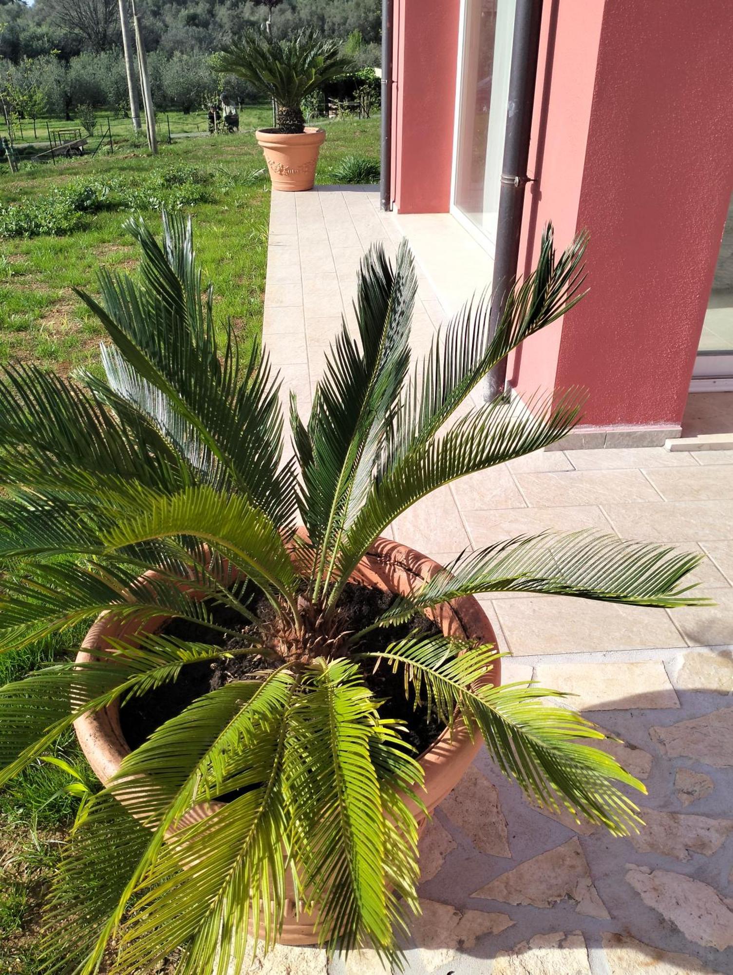 Villetta Fedora Immersa Nel Verde Cecina  Exteriér fotografie