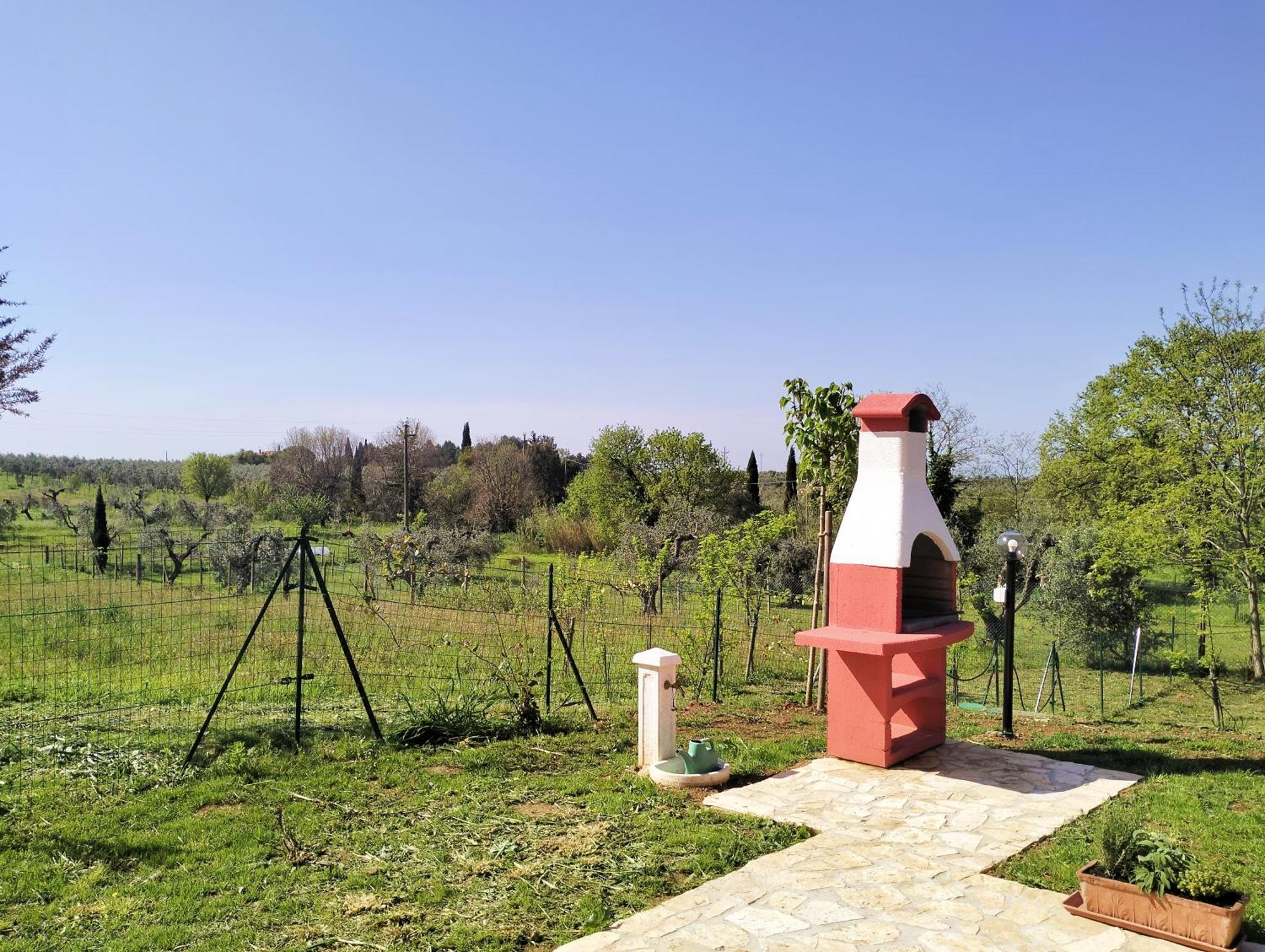 Villetta Fedora Immersa Nel Verde Cecina  Exteriér fotografie